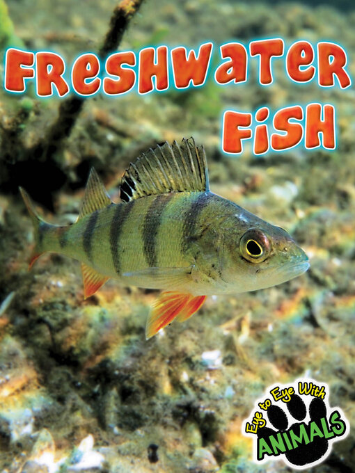 Cover image for Freshwater Fish